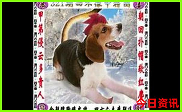 报团旅游在哪里找